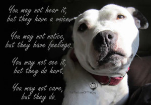 Pitbull Dog Quotes Positive Positive communications