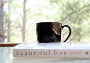 Tweak Nic Sheff Unabridged