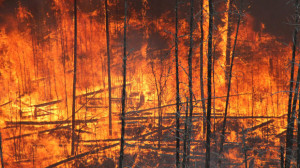 forest fire burns Friday about 270 kilometres north-northeast of ...