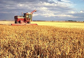 Be not deceived; God is not mocked: for whatsoever a man soweth, that ...