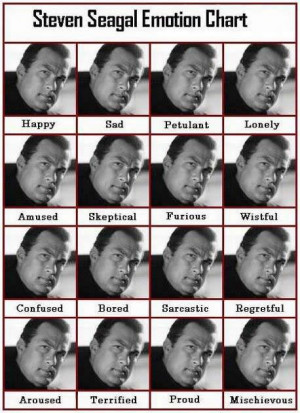 ... steven seagal emotion chart category funny pictures steven seagal
