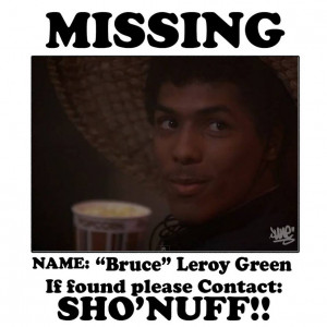 Bruce Leroy Missing Person Poster The Last Dragon