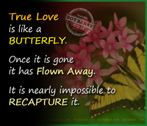 True love is like a butterfly. Once it is gone it has flown away and ...