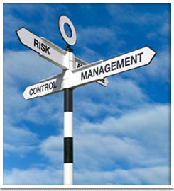... risk management responsibility for managing various types of risks was