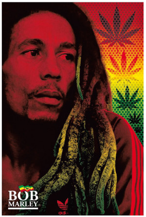 Poster Bob Marley Rasta Dreads,