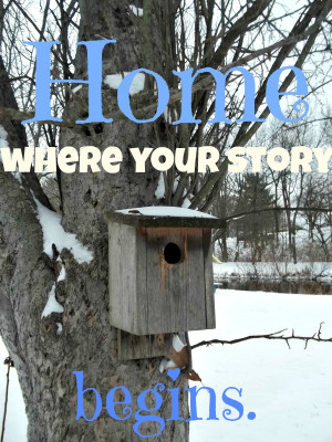 ... story begins birdhouse in snow Short Inspirational Quotes And Sayings