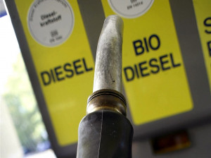 Quote verärgert Biodiesel-Hersteller