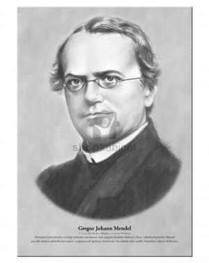 Gregor Mendel Quotes Reading Comprehension Worksheets Picture