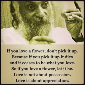 Uploaded to Pinterest