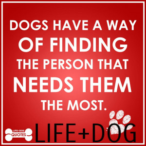 Quotable Quotes from LIFE+DOG