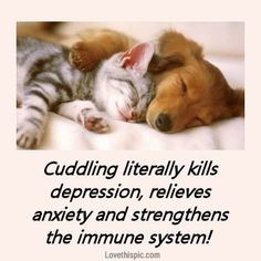 cuddling quotes cute quote pets picture quotes cuddling ...If you love ...