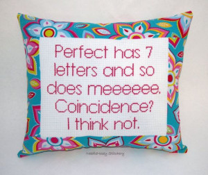 Funny Cross Stitch Pillow, Pink and Blue Pillow, Perfect Quote