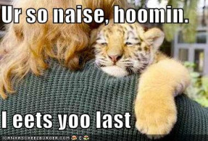 57187_funny_pictures_little_tiger_promises_to_eat_you_last.jpg
