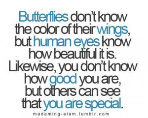 Butterflies don't know the color of their wings, but human eyes know ...