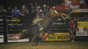Bull Riders Quotes To watch bull riders hold