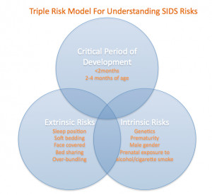 Understanding Risks For SIDS