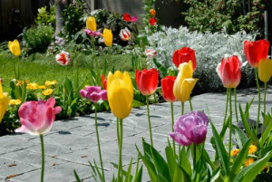 Islamic Quotes and Sayings # Traveling