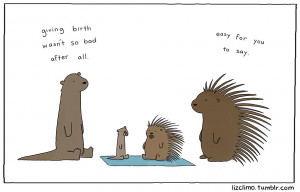 Cute Animal Comics By Simpsons Animator Liz Climo