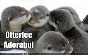 found a cache of otter puns who doesn t love otter puns