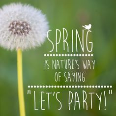 Quote: Spring is natures way of saying 