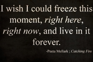 catching fire, hunger games, quote