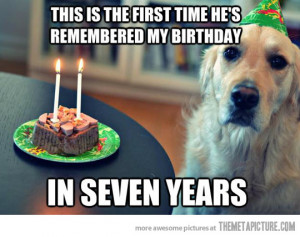 Funny dog birthday, dog birthday, colorful dog birthday