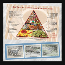 Vegetarian/Vegan Cookbooks, Health Books, DVD's & other Materials
