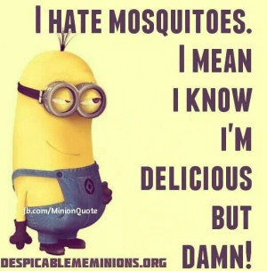 hate mosquitoes