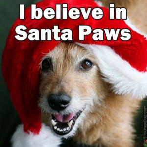 believe in Santa Paws!