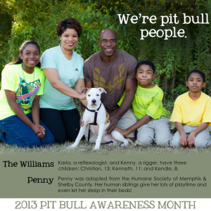 ... thing we want people to understand is that pit bulls are just dogs