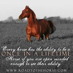 ... , Horse'S 3, Miss Your Horses, Stuff, Soul, Horses Quotes, Animal