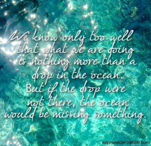 drop in the ocean quote