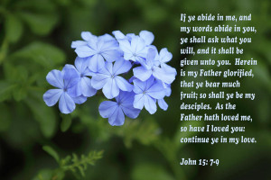 John 15.7 9 Bible Verse