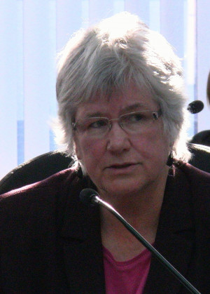 Elaine MacDonald announces run for NDP Ontario nomination in Stormont