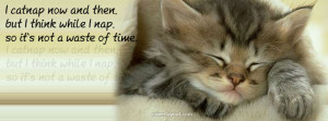 Catnap Now and Then Facebook Cover Layout
