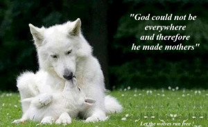 The Wolves Beauty And Beast