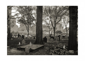 Funny Quotes Contact Dmca