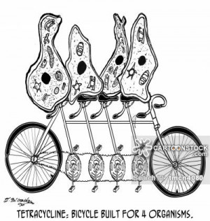 funny photos cycling tandem gear bike