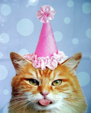Cat Thursday - I survived another year.