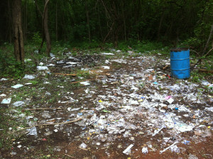 Concerted Effort Quotes