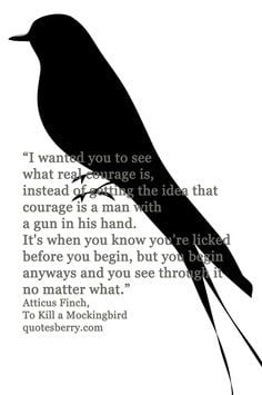 mockingbird more quotes blog quotes phrases thoughts motivation quotes ...