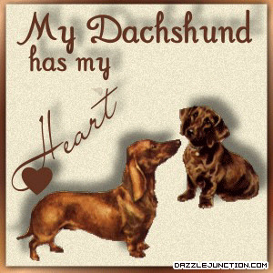 Pets Dachshund Heart quote