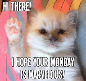 Have a marvelous Monday