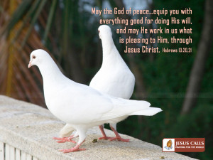 Hebrews 13:20-21 -God of Peace Papel de Parede Imagem