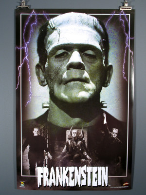 Frankenstein (1931 film) Picture Slideshow