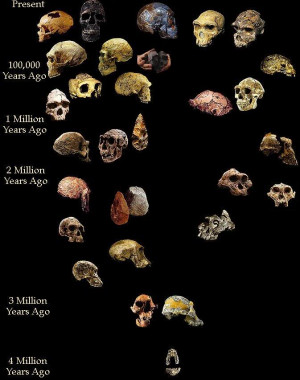 comment - What do you think? Posted byJohn - November 4, 2011 at 1 ...