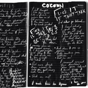 The lyrics of Cocoon originally written by Van McCann in his journal.