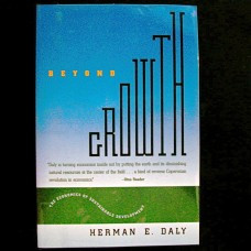 Herman Daly Beyond Growth 1996 Beacon Press