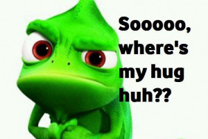 where_is_my_hug#funny_pic