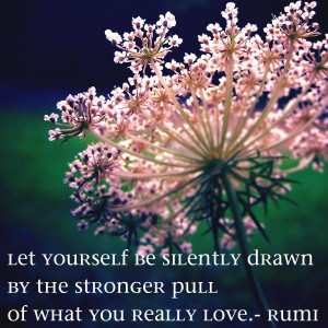 Rumi+quote